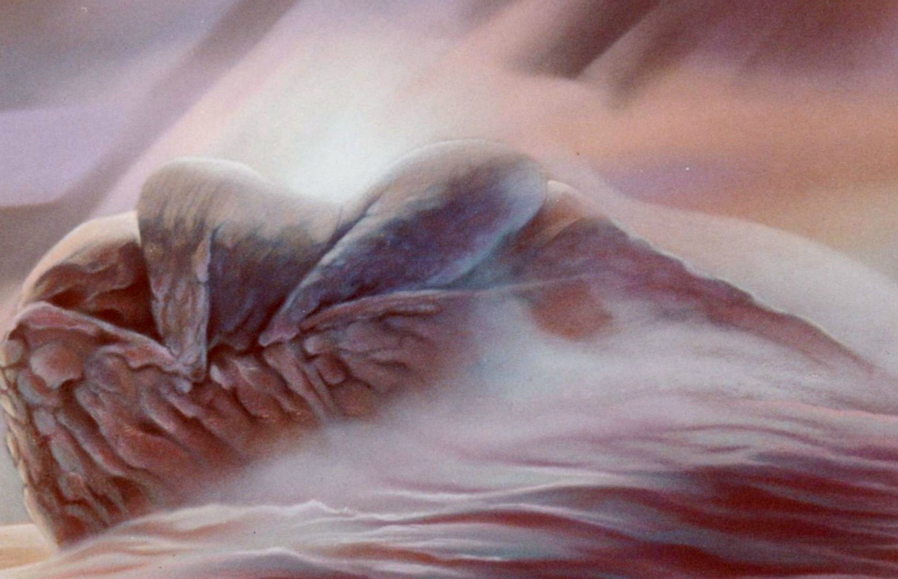 60x80cm