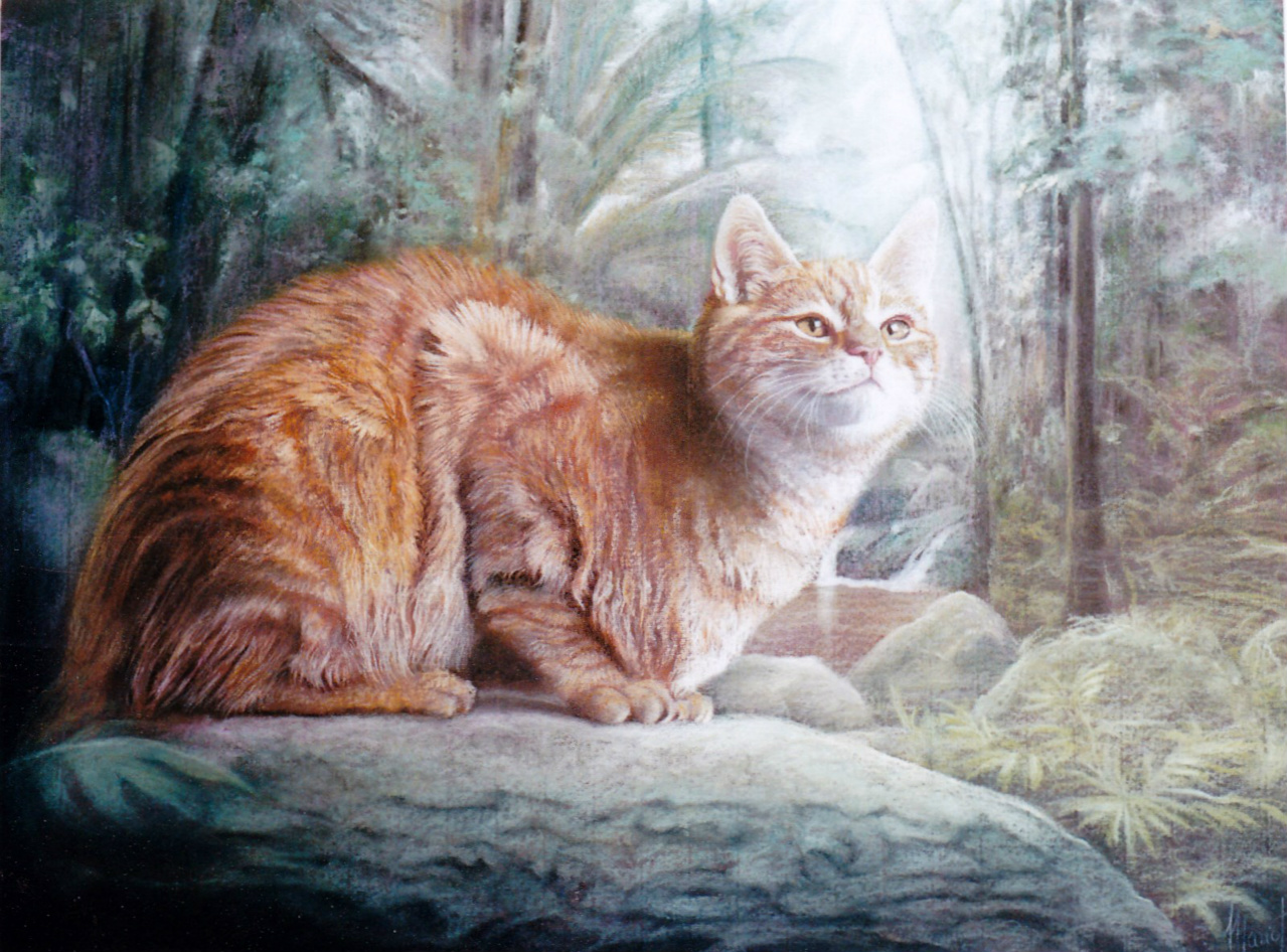 60x80cm