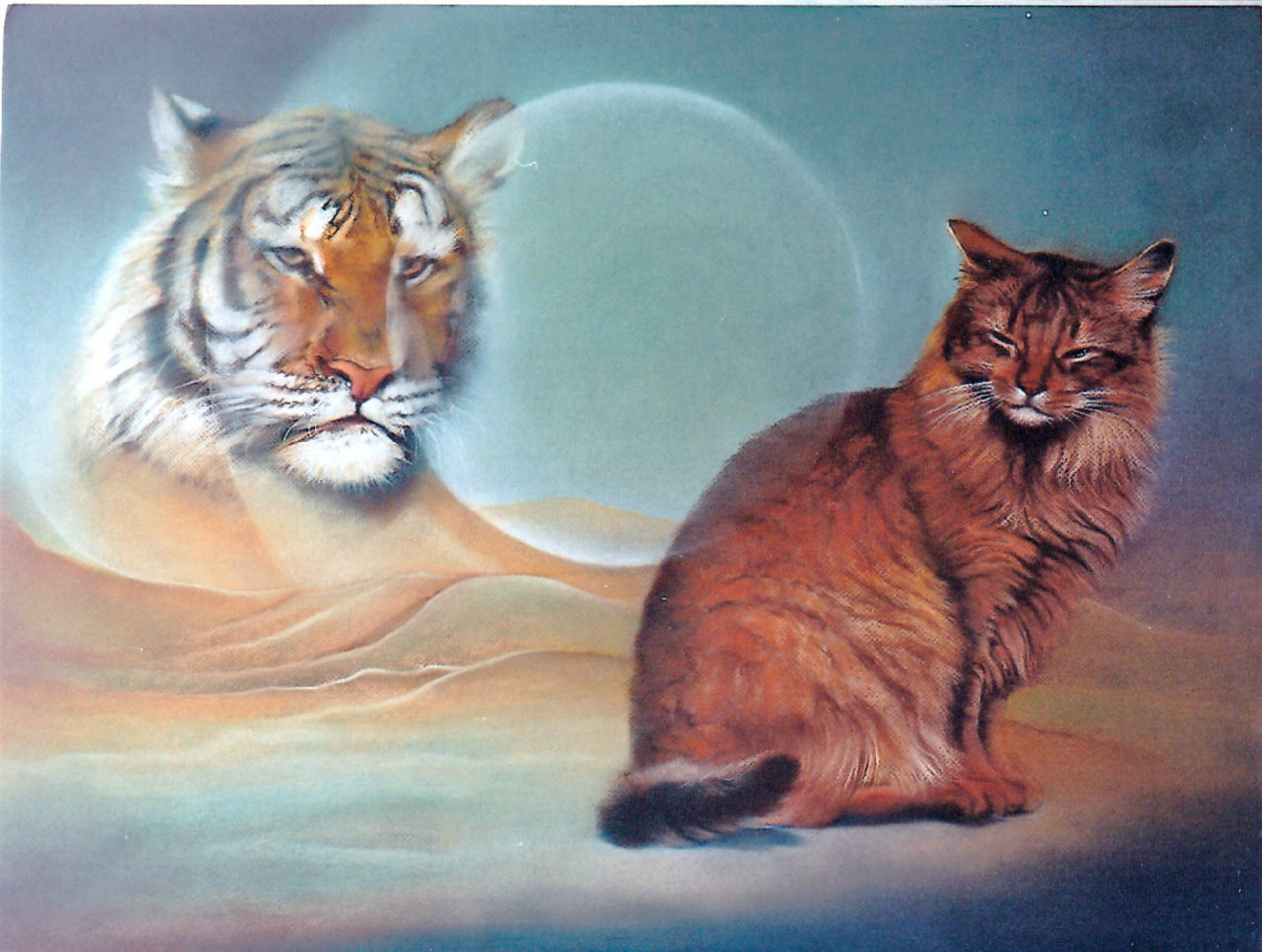 60x80cm