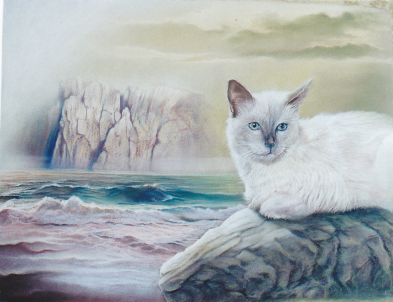 60x80cm