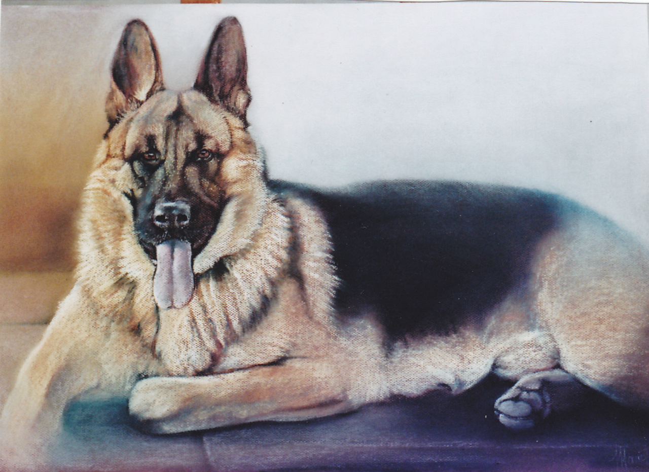 60x80cm