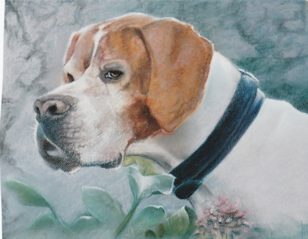 40x30cm