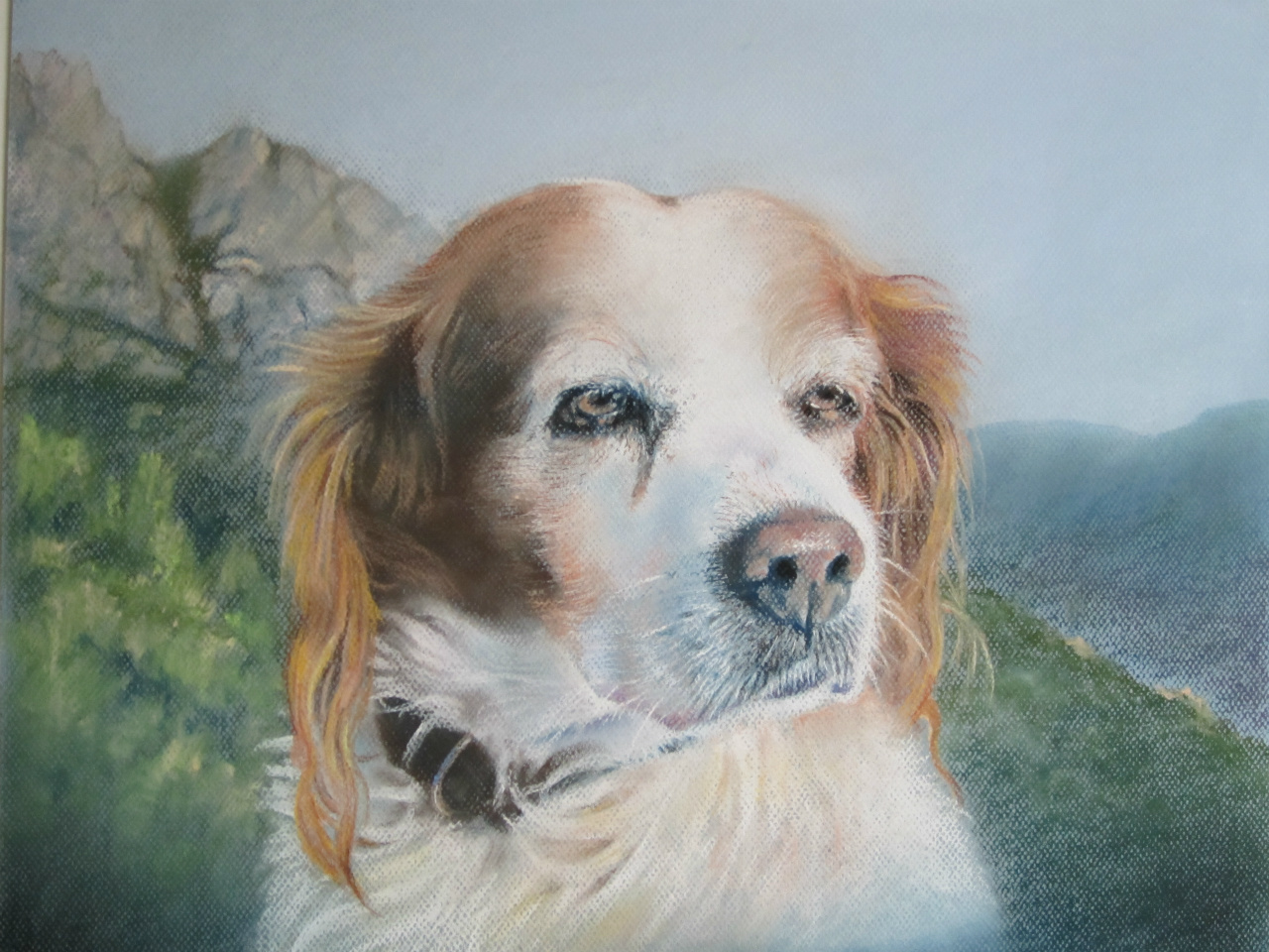 40x30cm