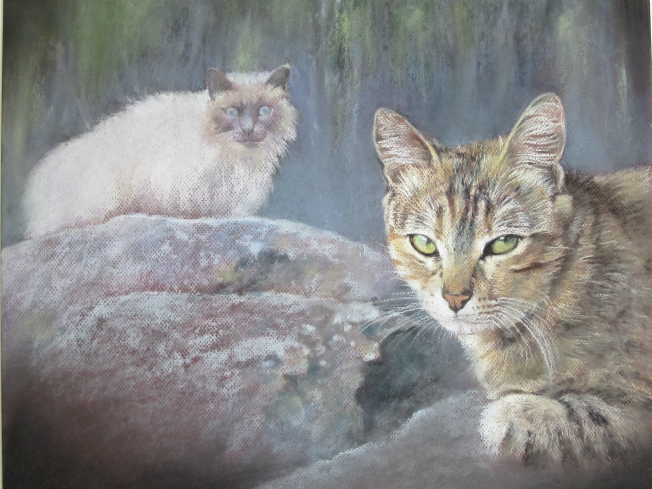40x30cm
