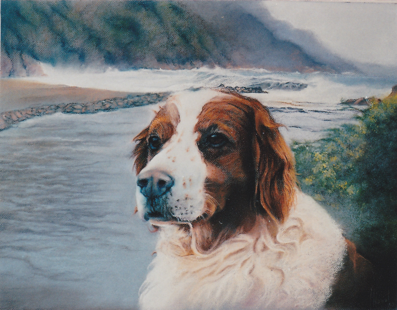 40x30cm