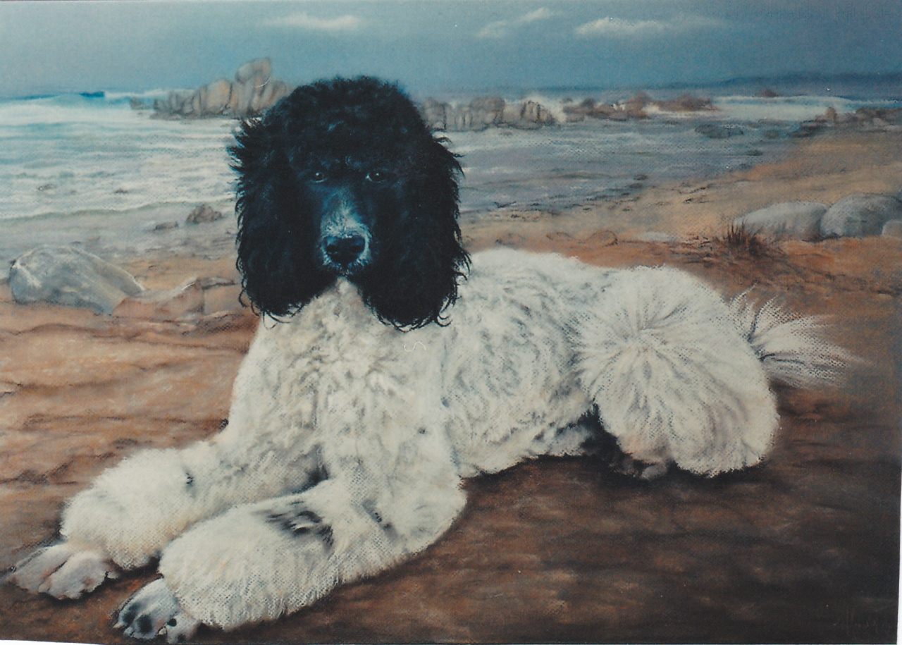 60x80cm
