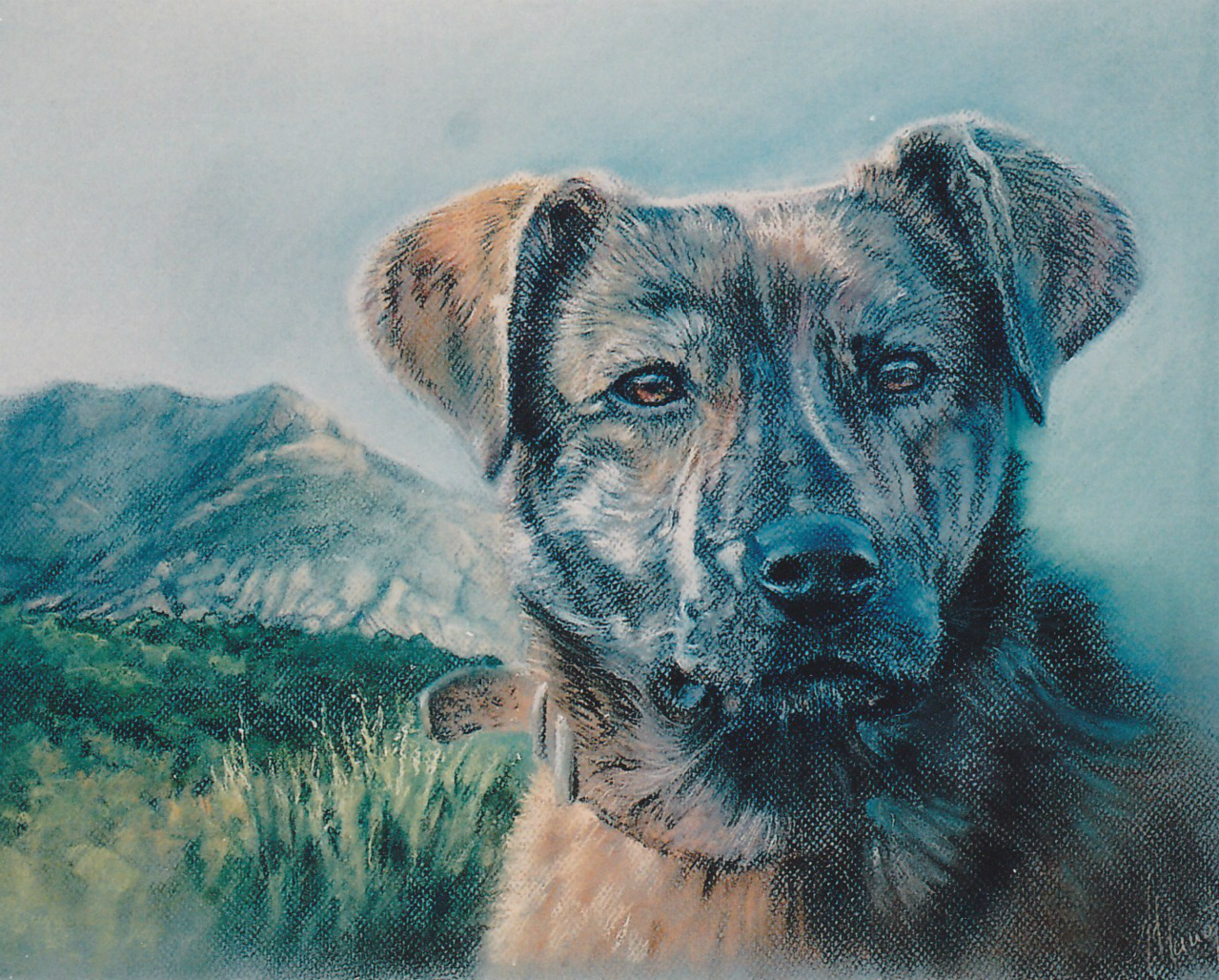40x30cm