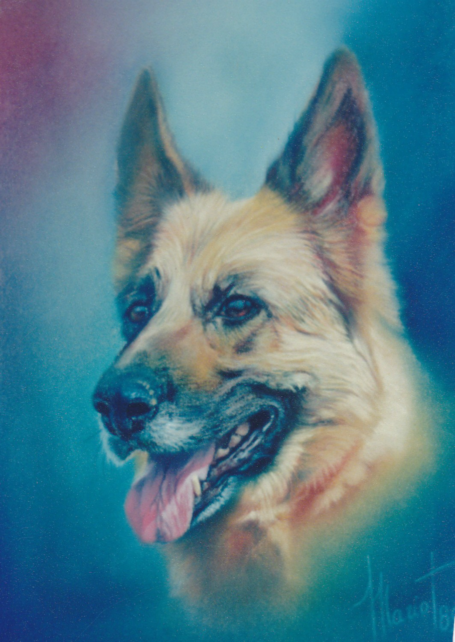 40x30cm