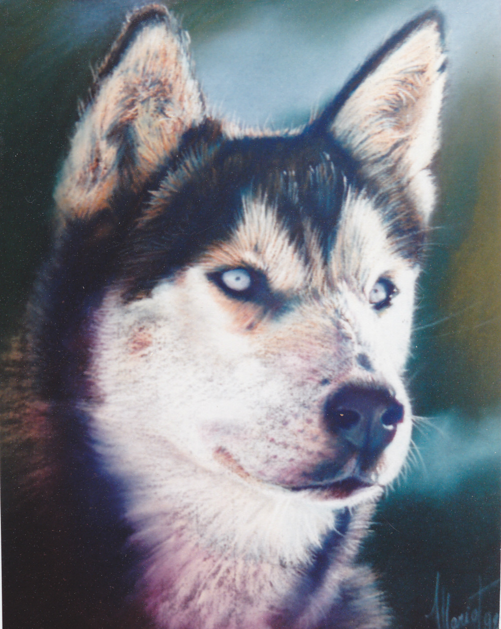 40x30cm