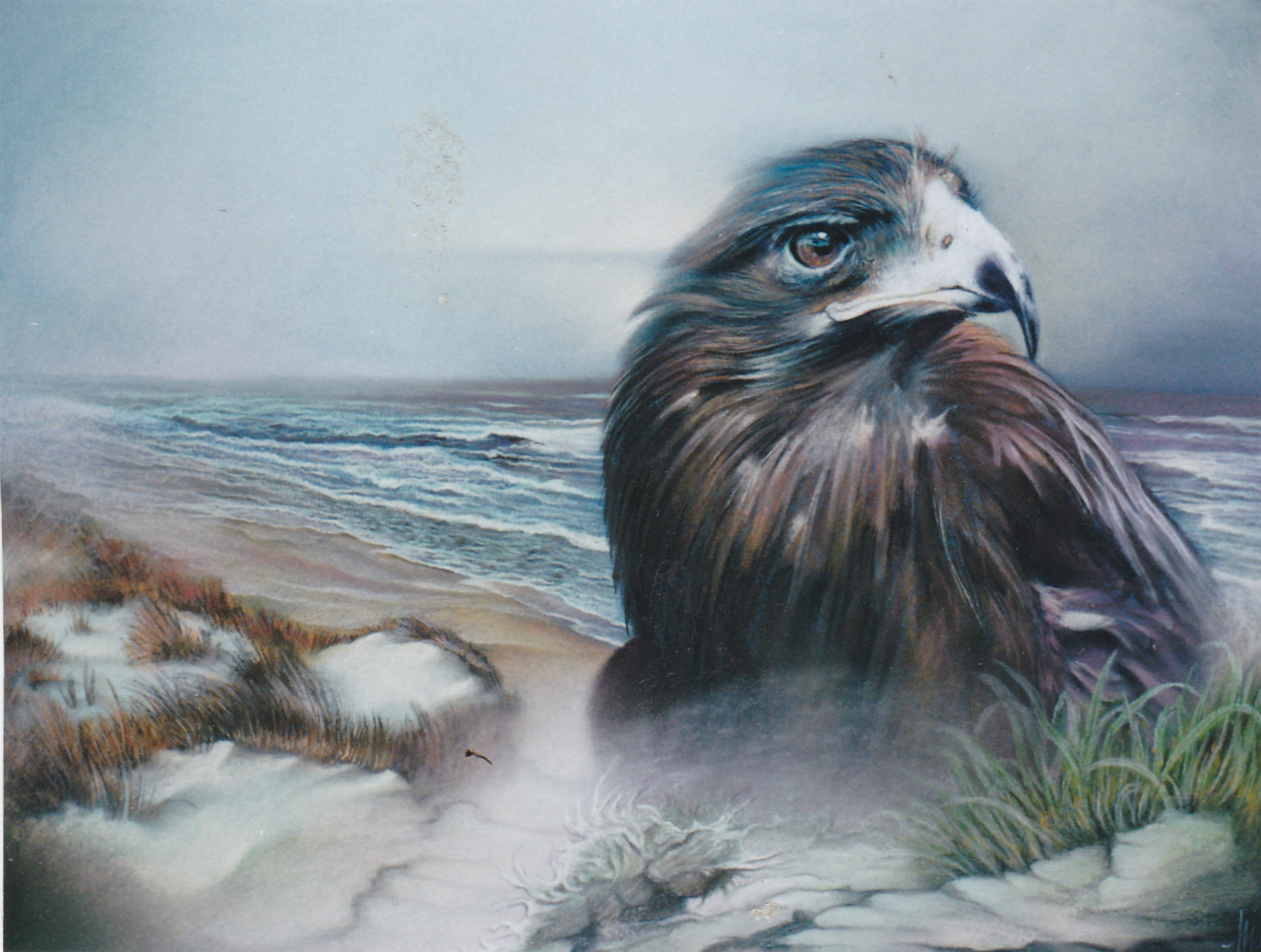 60x80cm