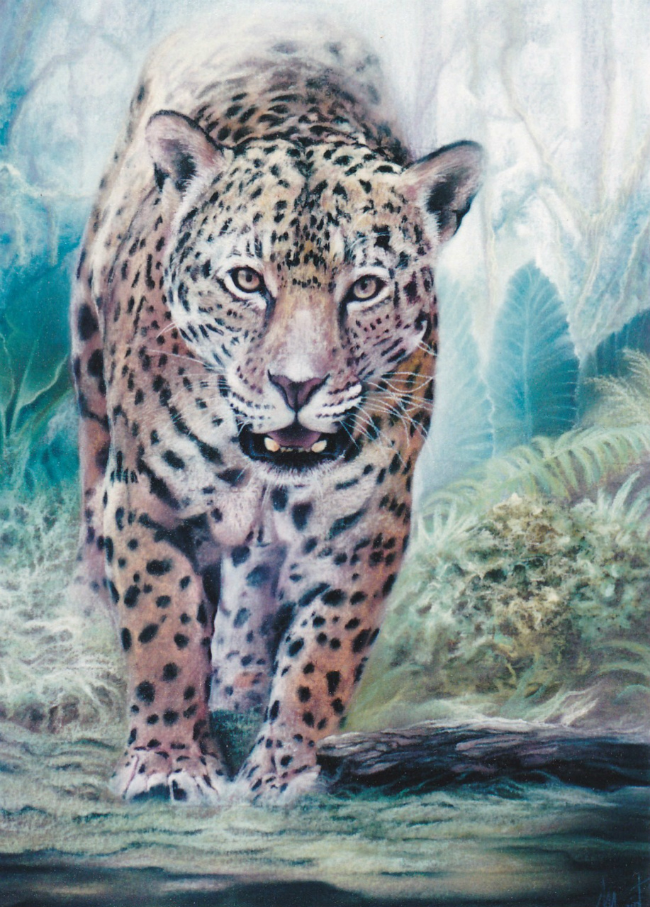 60x80cm