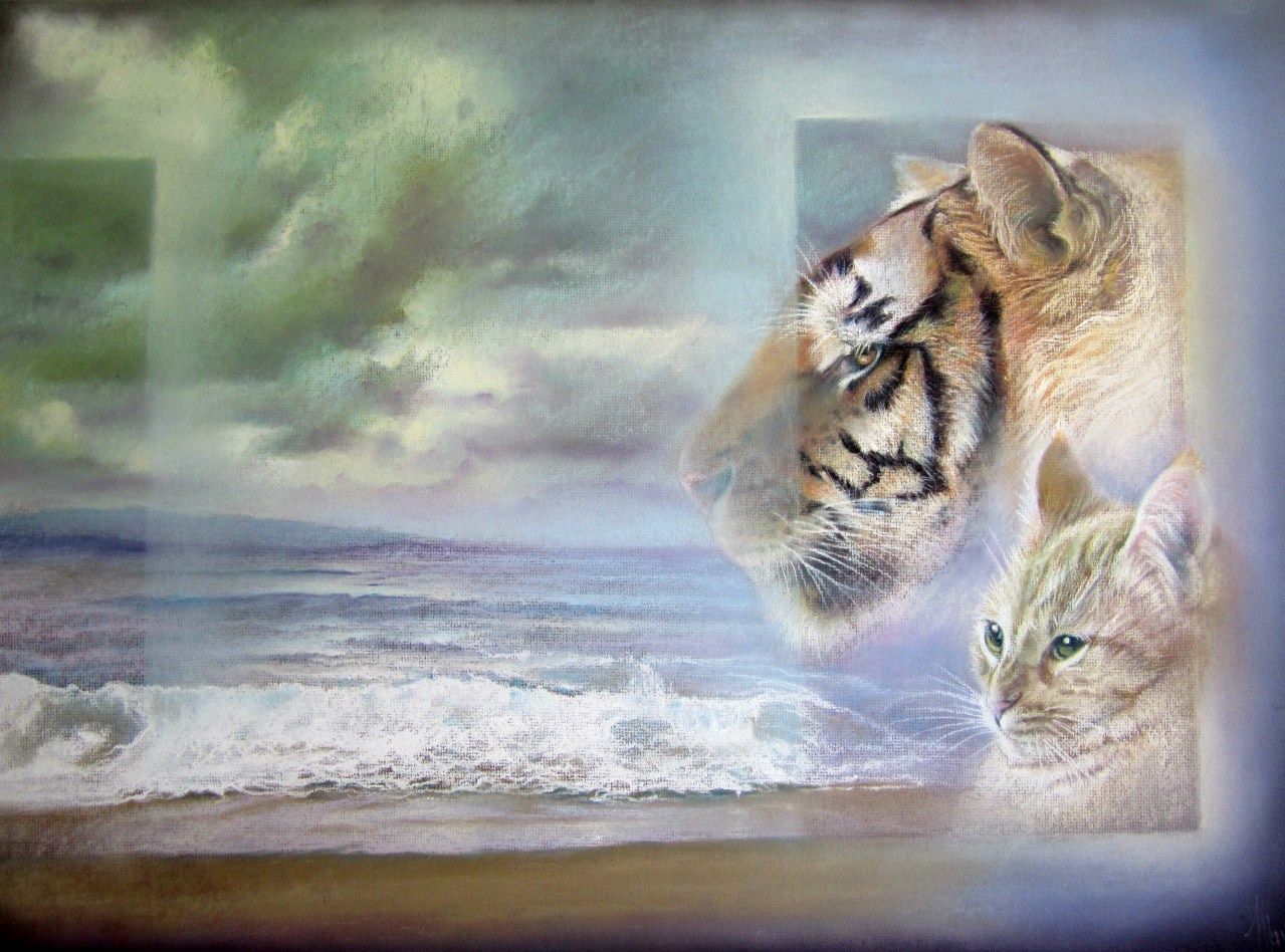 60x80cm