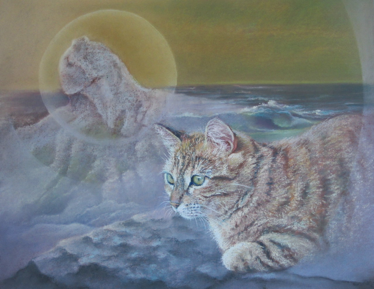 40x30cm