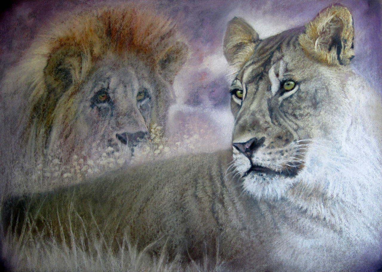 50x60cm