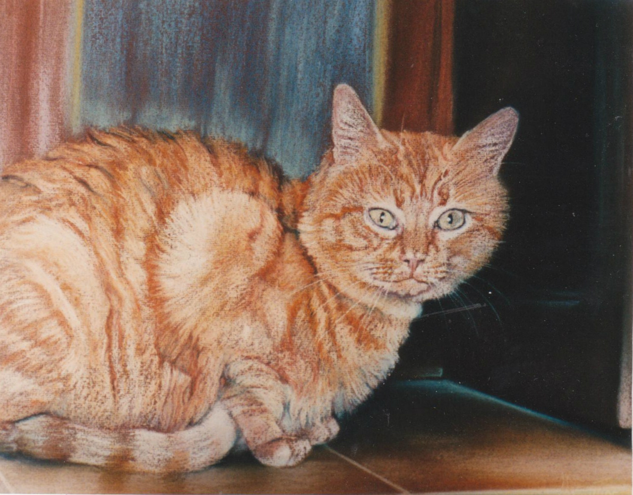 40x30cm