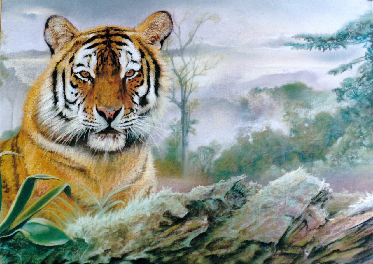 60x80cm