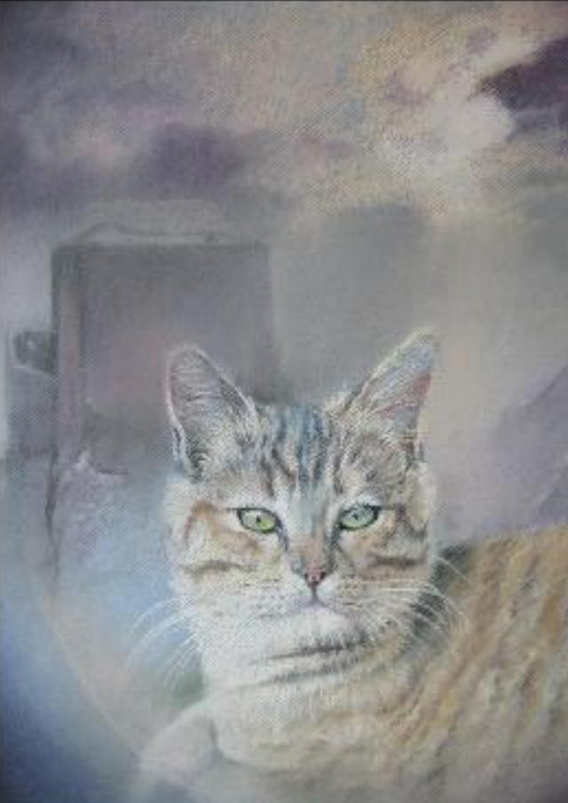 40x50cm